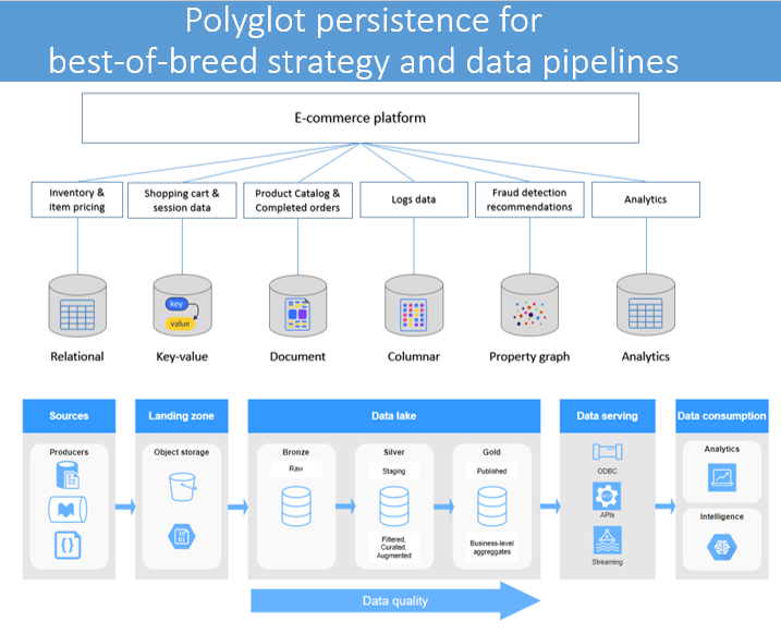 Vision - Polyglot persistence